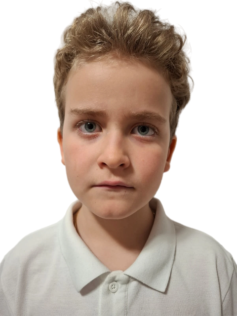 dragomir.cristian