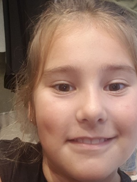 Maia2019